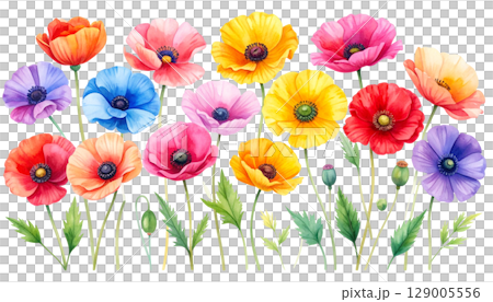 A colorful bouquet of red and yellow tulips blooming in a sunny spring garden 129005556