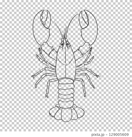 A cartoon mosquito and other insects like a spider and an ant are shown as simple black and white vector illustrations, suitable for a tattoo or icon design 129005609