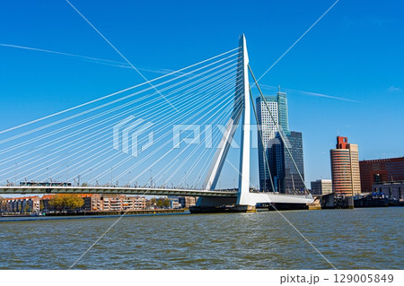 Erasmus Bridge and Rotterdam Skyline A Captivating Urban Landscape in the Netherlands 129005849