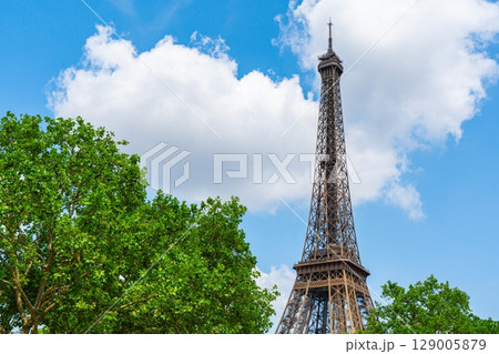 Eiffel Tower Ascending into a Blue Sky A Parisian Landmark Amongst Green Trees. 129005879