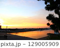 松の木のシルエット越しの漁港の日暮れ 129005909
