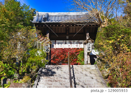 鎌倉 覚園寺の美しい紅葉（神奈川県鎌倉市） 129005933