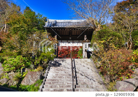 鎌倉 覚園寺の美しい紅葉(神奈川県鎌倉市) 鎌倉 覚園寺の美しい紅葉(神奈川県鎌倉市) 129005936