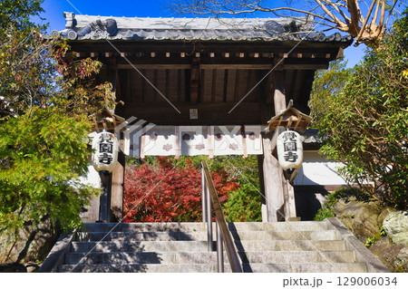 鎌倉 覚園寺の美しい紅葉(神奈川県鎌倉市) 鎌倉 覚園寺の美しい紅葉(神奈川県鎌倉市) 129006034