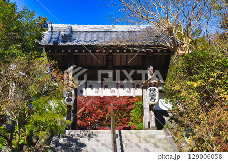 鎌倉 覚園寺の美しい紅葉（神奈川県鎌倉市） 129006058