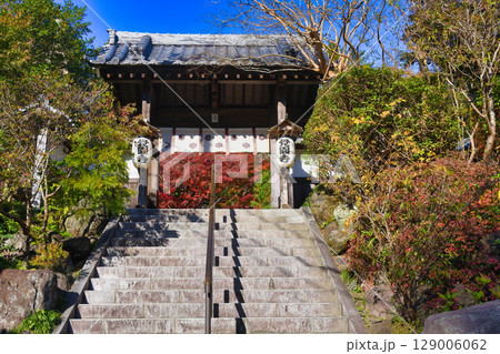 鎌倉 覚園寺の美しい紅葉(神奈川県鎌倉市) 鎌倉 覚園寺の美しい紅葉(神奈川県鎌倉市) 129006062