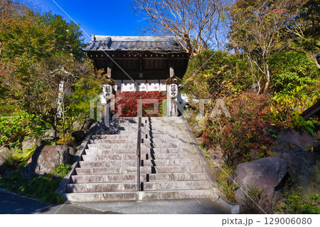 鎌倉 覚園寺の美しい紅葉（神奈川県鎌倉市） 129006080