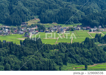 《新潟県》夏空の田園風景 《新潟県》夏空の田園風景 129006536