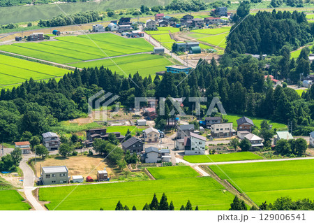 《新潟県》夏空の田園風景 129006541