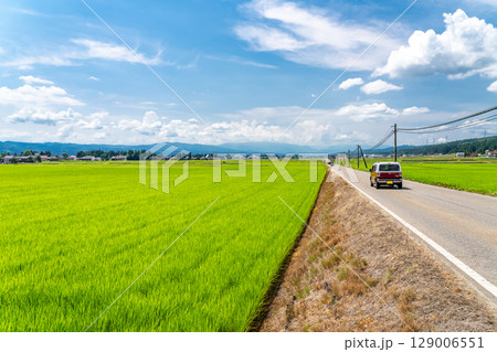 《新潟県》夏空の田園風景 129006551