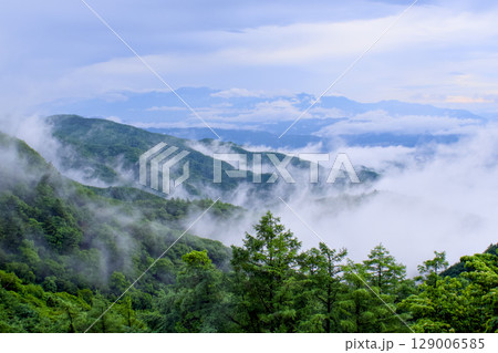 雲海に包まれる長野県の山々の景色が美しい 129006585
