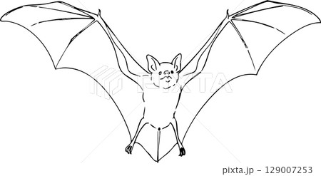 Flying Bat Nocturnal Animal Coloring Sheet Flying Bat Nocturnal Animal Coloring Sheet 129007253
