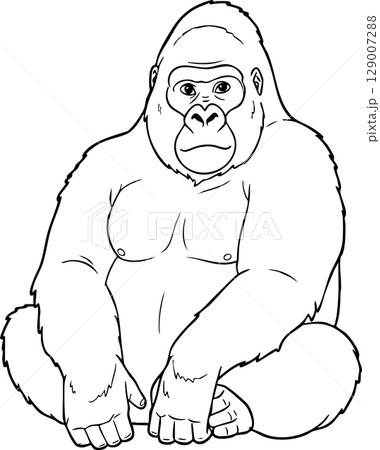 Strong Gorilla Primate Coloring Page for Children 129007288