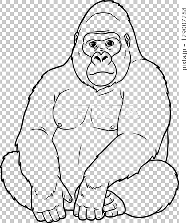 Strong Gorilla Primate Coloring Page for Children 129007288