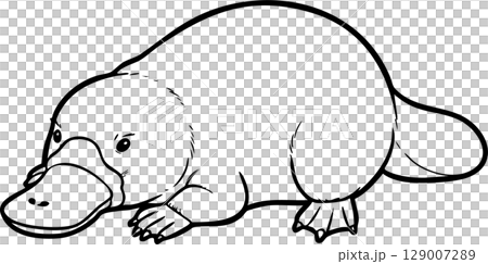 Cute Platypus Australian Animal Coloring Art 129007289