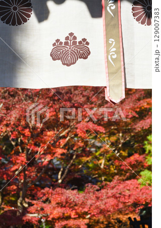 鎌倉 覚園寺の美しい紅葉(神奈川県鎌倉市) 鎌倉 覚園寺の美しい紅葉(神奈川県鎌倉市) 129007383