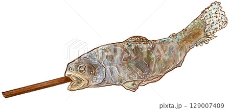 岩魚の塩焼き_横_1匹_イワナのイラスト 岩魚の塩焼き_横_1匹_イワナのイラスト 129007409