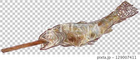 Grilled salmon illustration 129007411
