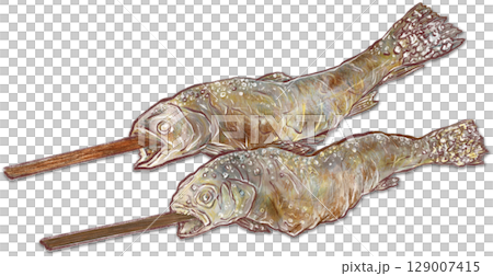 Grilled salmon illustration of two trout Grilled salmon illustration of two trout 129007415