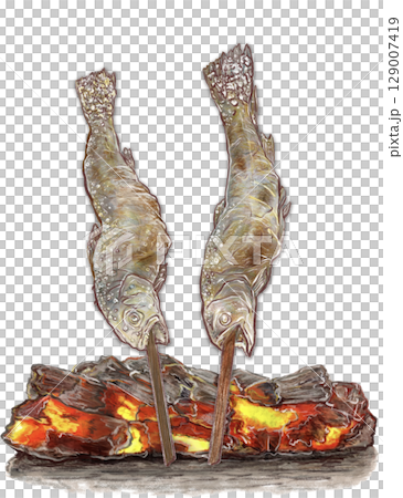 Salt-grilled rock trout_2 fish_Charcoal-grilled rock trout_Illustration of rock trout Salt-grilled rock trout_2 fish_Charcoal-grilled rock trout_Illustration of rock trout 129007419