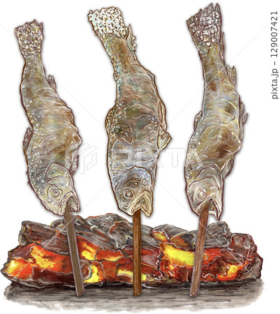 岩魚の塩焼き_3匹を炭火で焼いている_イワナのイラスト 129007421