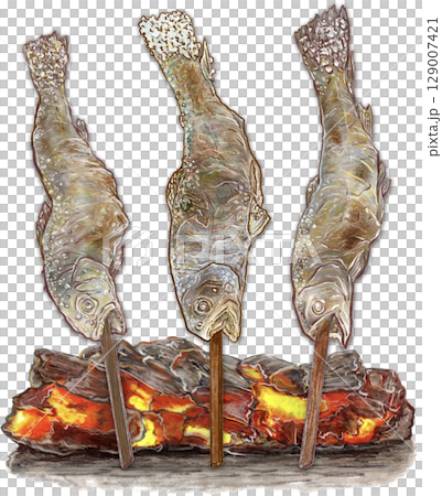 岩魚の塩焼き_3匹を炭火で焼いている_イワナのイラスト 129007421