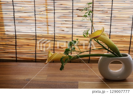 黄色いカラーの花 129007777