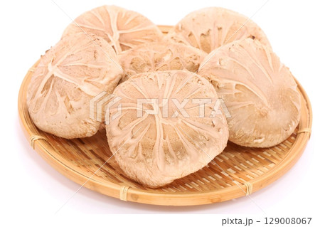 しいたけ　生どんご　大きい　明るい背景　食材 129008067