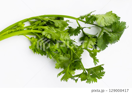 Fresh organic coriander, vegetables and herbs 129008417