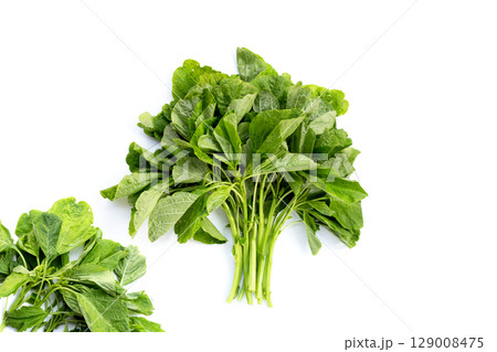 Green spinach on white background. Green spinach on white background. 129008475