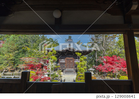 秋の京都 清凉寺(嵯峨釈迦堂) 渡り廊下からみた弁天堂 秋の京都 清凉寺(嵯峨釈迦堂) 渡り廊下からみた弁天堂 129008641