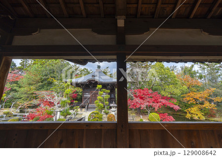 秋の京都 清凉寺(嵯峨釈迦堂) 渡り廊下からみた弁天堂 秋の京都 清凉寺(嵯峨釈迦堂) 渡り廊下からみた弁天堂 129008642