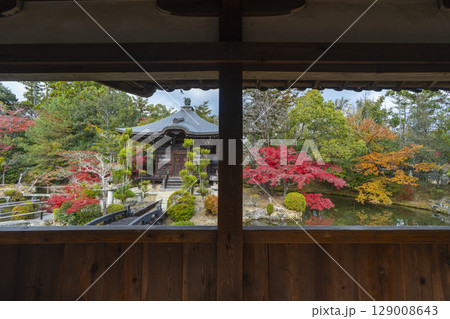 秋の京都 清凉寺(嵯峨釈迦堂) 渡り廊下からみた弁天堂 秋の京都 清凉寺(嵯峨釈迦堂) 渡り廊下からみた弁天堂 129008643