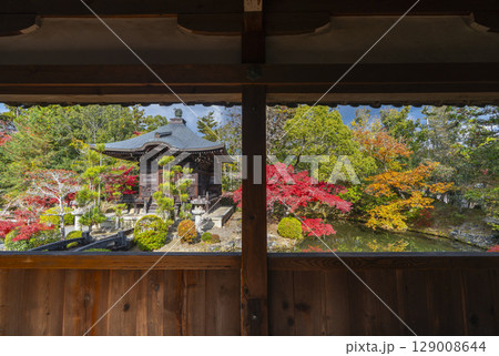 秋の京都　清凉寺（嵯峨釈迦堂）　渡り廊下からみた弁天堂 129008644