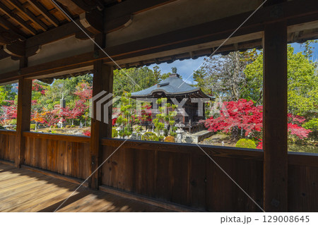 秋の京都　清凉寺（嵯峨釈迦堂）　渡り廊下からみた弁天堂 129008645