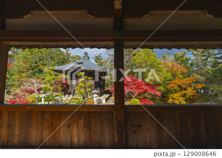 秋の京都 清凉寺(嵯峨釈迦堂) 渡り廊下からみた弁天堂 秋の京都 清凉寺(嵯峨釈迦堂) 渡り廊下からみた弁天堂 129008646