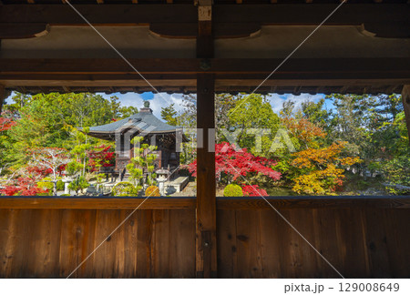 秋の京都 清凉寺(嵯峨釈迦堂) 渡り廊下からみた弁天堂 秋の京都 清凉寺(嵯峨釈迦堂) 渡り廊下からみた弁天堂 129008649