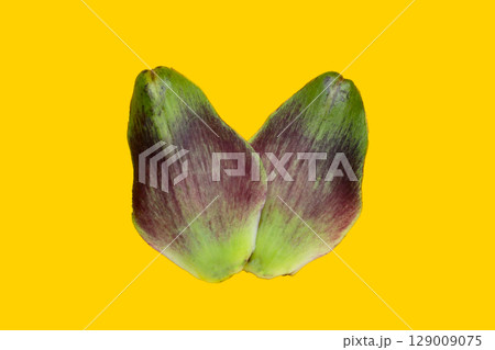 Artichoke petals on yellow background. Artichoke petals on yellow background. 129009075