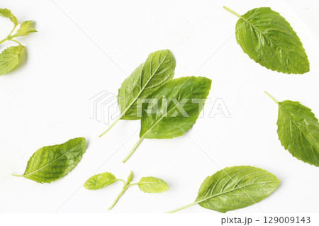 Holy basil leaves on white background. Holy basil leaves on white background. 129009143