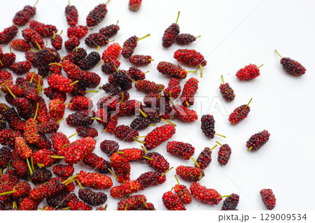 Fresh mulberry on white background. Fresh mulberry on white background. 129009534