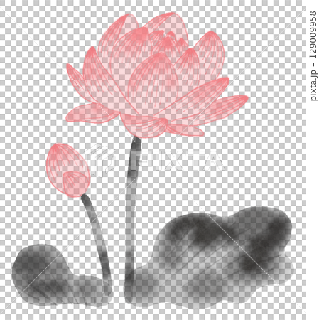 蓮花水墨畫 129009958