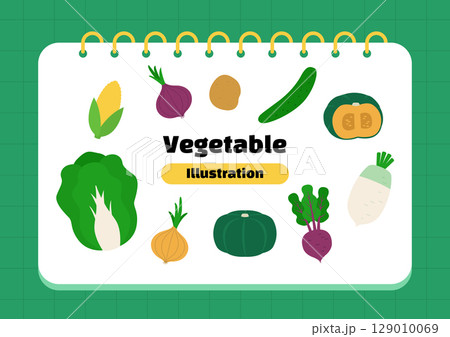 Collection of vector illustrations of vegetables. 129010069