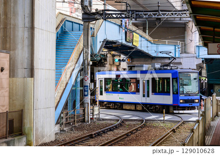 東京さくらトラム(都電荒川線) 王子駅前駅 東京さくらトラム(都電荒川線) 王子駅前駅 129010628