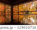 京都の瑠璃光院の紅葉 129010716