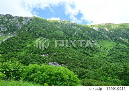 霧の中の千畳敷カール 129010913