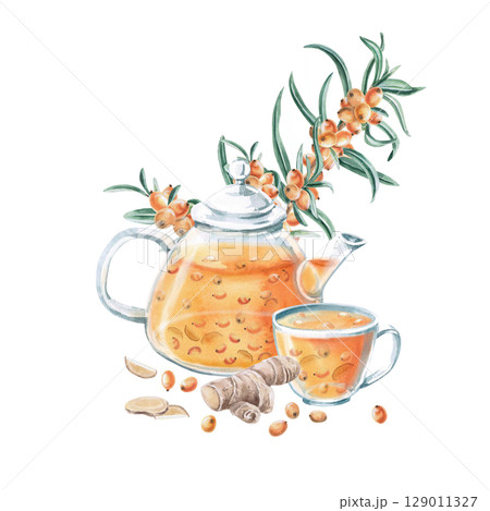Composition with a teapot and a cup with sea buckthorn tea and ginger. Isolated watercolor illustration on the theme of warming drinks for the design of a seasonal menu, culinary blogs. Composition with a teapot and a cup with sea buckthorn tea and ginger. Isolated watercolor illustration on the theme of warming drinks for the design of a seasonal menu, culinary blogs. 129011327