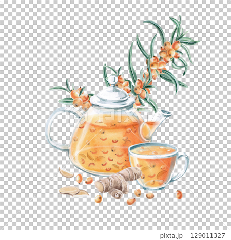 Composition with a teapot and a cup with sea buckthorn tea and ginger. Isolated watercolor illustration on the theme of warming drinks for the design of a seasonal menu, culinary blogs. Composition with a teapot and a cup with sea buckthorn tea and ginger. Isolated watercolor illustration on the theme of warming drinks for the design of a seasonal menu, culinary blogs. 129011327