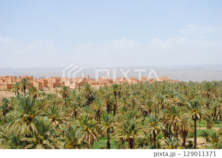 Aerial view of a Oasis in desert, UAE 129011371