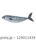 A gorgeous watercolor fish on a white background. Ideal for postcards, printing on wallpaper, fabric 129011439