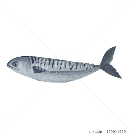 A gorgeous watercolor fish on a white background. Ideal for postcards, printing on wallpaper, fabric 129011439
